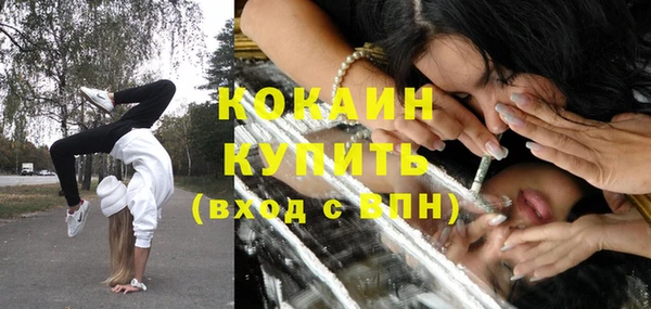 крисы Болхов